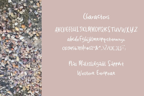 Coquina Clam Hand-lettered Font Font Beck McCormick 
