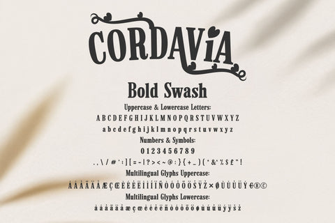 Cordavia Font Bundle - Modern Serif Font Family with Swashes Font TonisArtStudio 