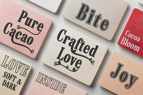 Cordavia Font Bundle - Modern Serif Font Family with Swashes Font TonisArtStudio 