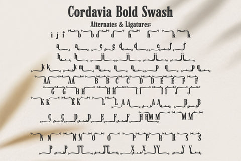 Cordavia Font Bundle - Modern Serif Font Family with Swashes Font TonisArtStudio 