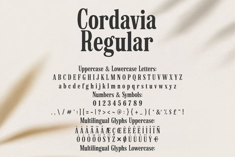 Cordavia Font Bundle - Modern Serif Font Family with Swashes Font TonisArtStudio 