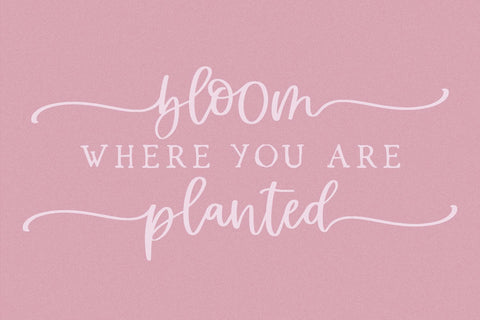 Cottage Charm Script Font Beck McCormick 
