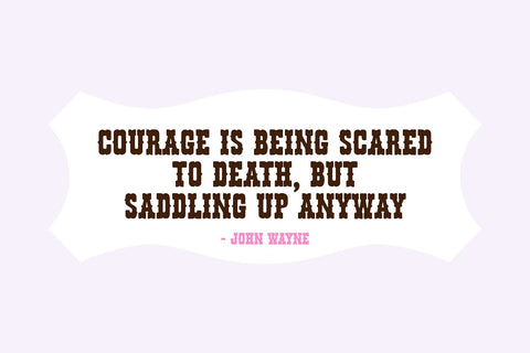 Cowgirls Fancy Western Rodeo Font Font Blush Font Co. 