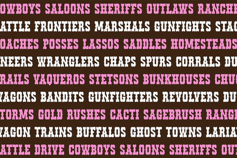 Cowgirls Fancy Western Rodeo Font Font Blush Font Co. 