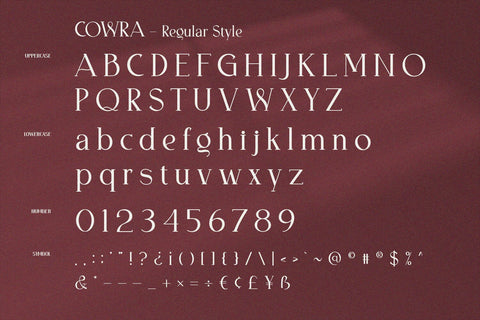 Cowra - Display Serif Font Font Alpaprana Studio 