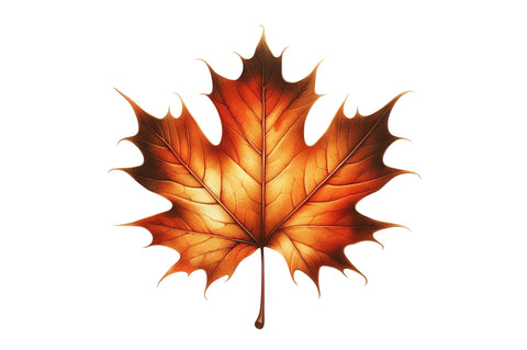 Cozy Caramel & White Fall Clipart Sublimation SVGista 