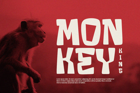 Crack Stone - Display Font Font Alpaprana Studio 