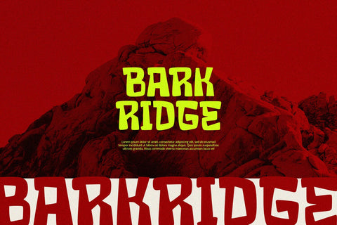 Crack Stone - Display Font Font Alpaprana Studio 