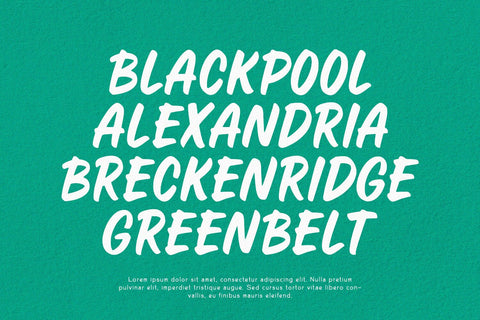 Craven - Display Font Font Alpaprana Studio 