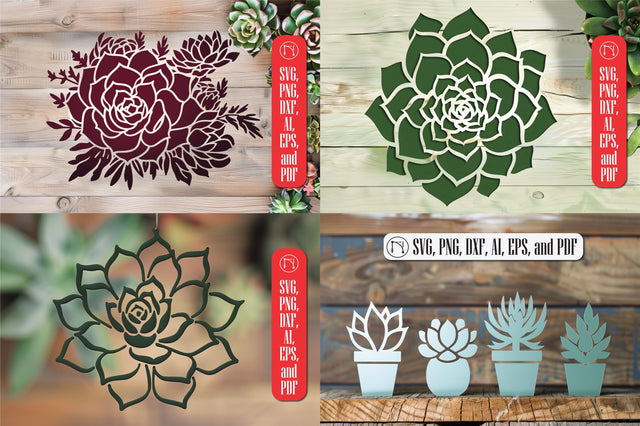 Cricut Succulent SVG cut file Bundle SVG MD JOYNAL ABDIN 