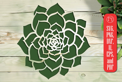 Cricut Succulent SVG cut file SVG MD JOYNAL ABDIN 
