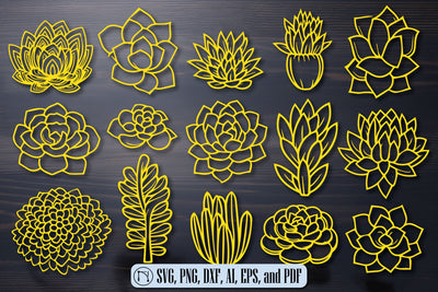 Cricut SUCCULENTS SVG Cut File Bundle SVG MD JOYNAL ABDIN 