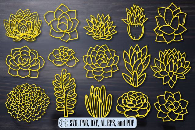Cricut SUCCULENTS SVG Cut File Bundle SVG MD JOYNAL ABDIN 