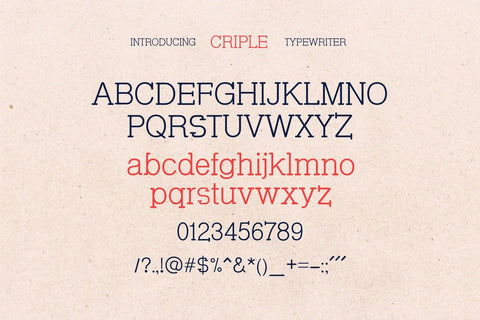 Criple - Unique Serif Font Font studioalmeera 