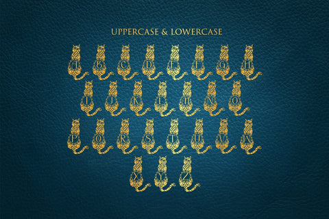 Curious Cat Mandala Monogram Font Dm Letter Studio 