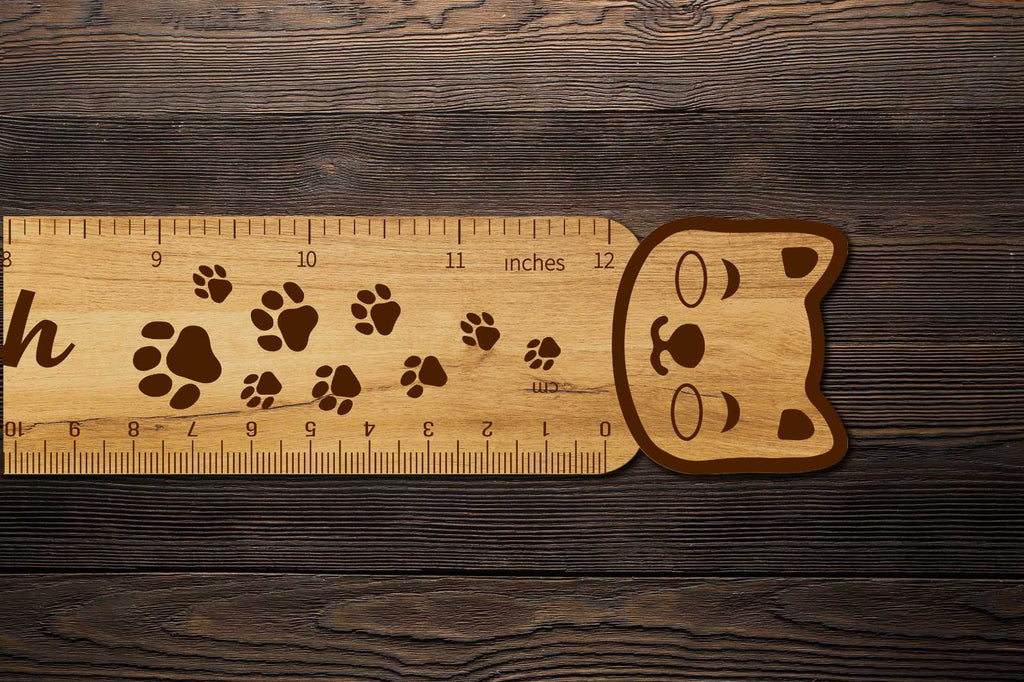 Custom Rulers Set 3D Design Templates - So Fontsy