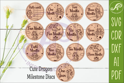 Cute Baby Dragon Milestone Discs, Monthly Baby Photo Props, SVG APInspireddesigns 