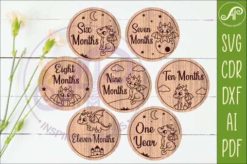 Cute Baby Dragon Milestone Discs, Monthly Baby Photo Props, SVG APInspireddesigns 