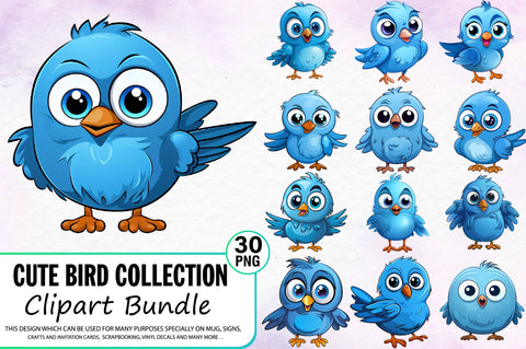 Cute Bird Clipart Bundle Sublimation Regulrcrative 