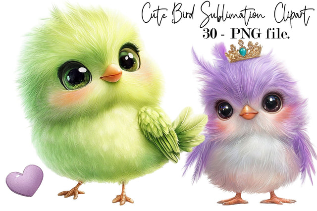 Cute Bird Sublimation PNG Clipart Bundle Sublimation SVGArt 