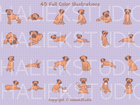 Cute Boxer Dog Color SVG and PNG Design Set SVG HalieKStudio 