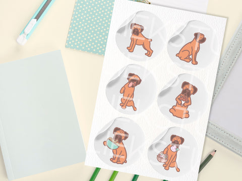 Cute Boxer Dog SVG Design Set SVG HalieKStudio 