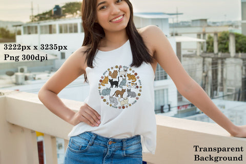 Cute Cats Colourful Kittens Png Illustration Sublimation Karma Genie Graphics 