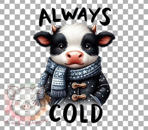 Cute Cow Design, Funny Cow PNG, Sarcastic Art, Sublimation Download, Always Cold, Digital Download, Printable Cow, Farm Animal Humor Sublimation Lara' s Designs 