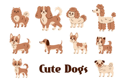 Cute Dogs Illustrations Sublimation Rin Green 