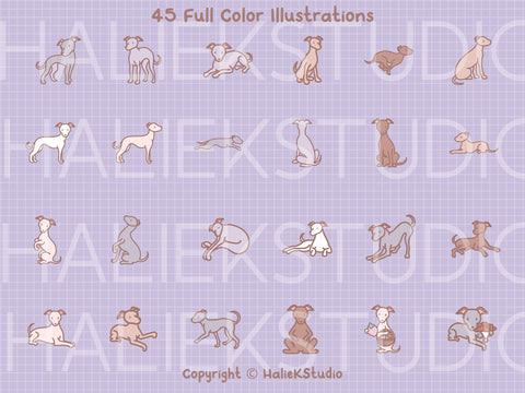 Cute Greyhounds Color PNG and SVG Design Set SVG HalieKStudio 