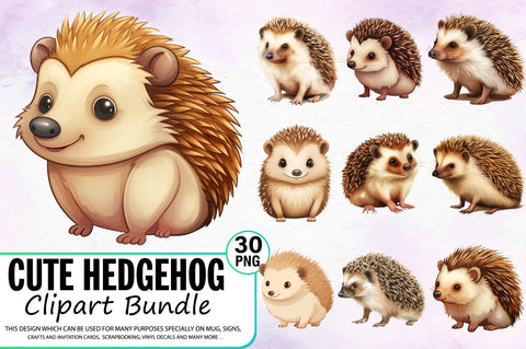 Cute Hedgehog Clipart Bundle Sublimation Regulrcrative 