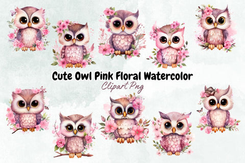 Cute Owl Pink Floral Watercolor Clipart Bundle Sublimation Designangry 