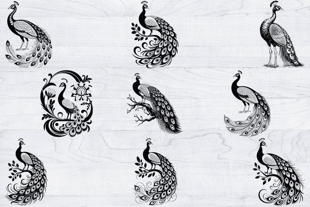Cute Peacock Svg Bundle, Bird Lover Svg, Wildlife Svg, Animal Svg SVG Creativeart88 