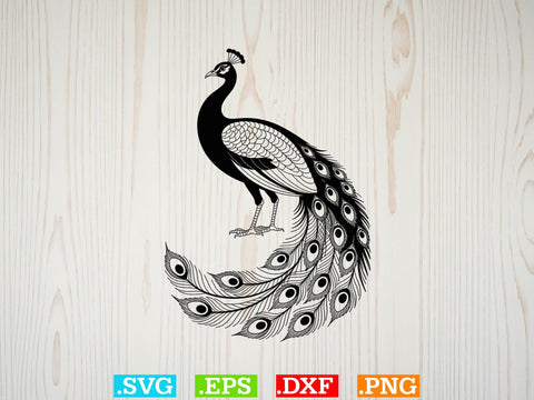 Cute Peacock Svg Bundle, Bird Lover Svg, Wildlife Svg, Animal Svg SVG Creativeart88 