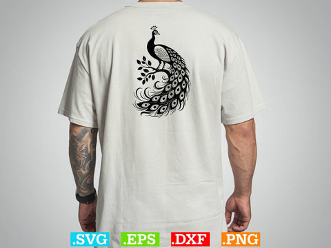 Cute Peacock Svg Bundle, Bird Lover Svg, Wildlife Svg, Animal Svg SVG Creativeart88 