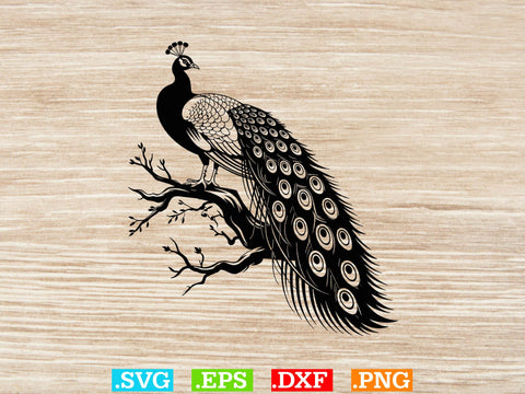 Cute Peacock Svg Bundle, Bird Lover Svg, Wildlife Svg, Animal Svg SVG Creativeart88 