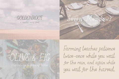 Cute Serif Mini Font Bundle Font Beck McCormick 