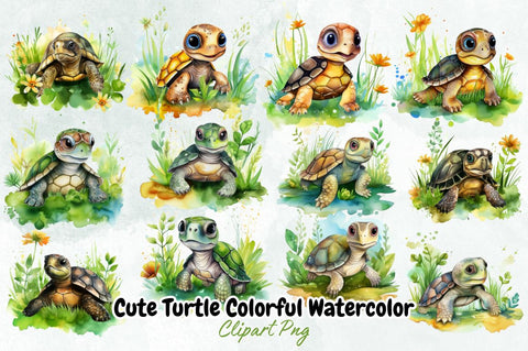 Cute Turtle Colorful Watercolor ClipArt Bundle Sublimation Designangry 