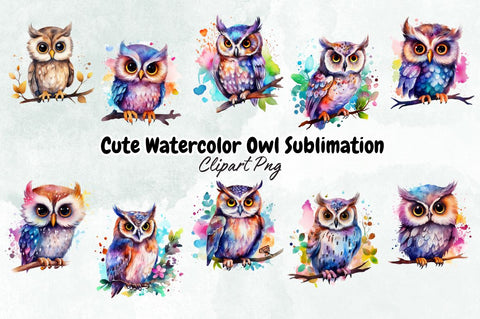 Cute Watercolor Owl Sublimation Clipart Bundle Sublimation Designangry 