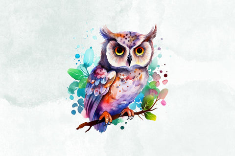 Cute Watercolor Owl Sublimation Clipart Bundle Sublimation Designangry 