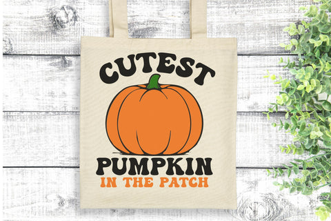 Cutest Pumpkin in the Patch - Fall Kids SVG PNG DXF EPS SVG Silhouette School Blog Design Shop 