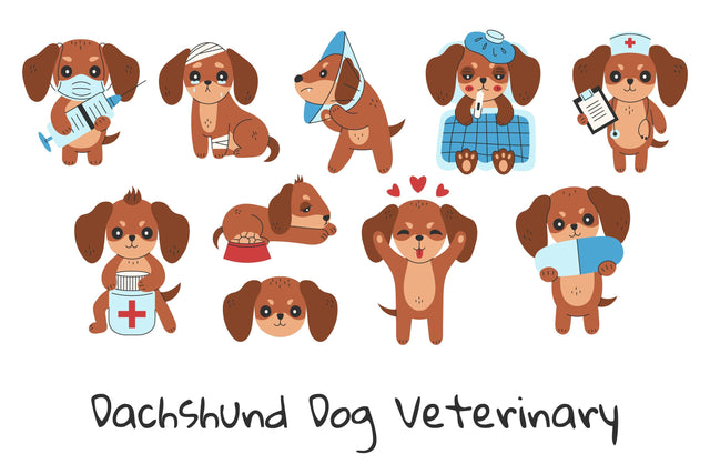 Dachshund Dog Veterinary PNG Clipart Sublimation Rin Green 
