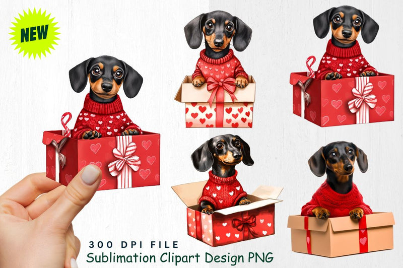 Dachshund in a Gift Box Clipart Sublimation Regulrcrative 