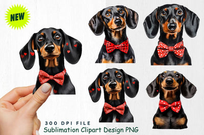 Dachshund with Bow Tie and Heart Confetti Clipart Sublimation Regulrcrative 