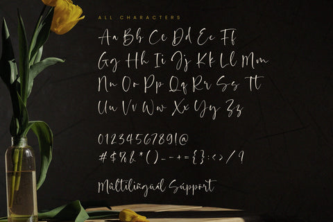 Daffodil Kingdom - Handwritten Script Font Font Timur type 