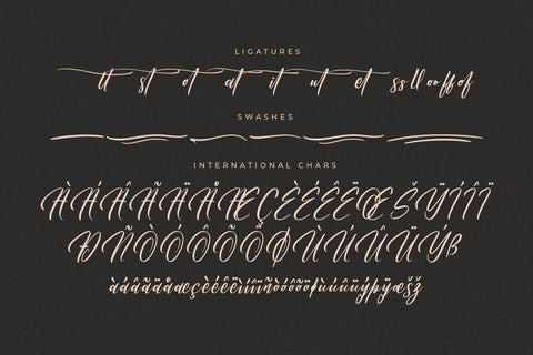 Dahlliaty Rofahness - Modern Handwritten Font Font Letterena Studios 