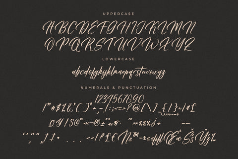 Dahlliaty Rofahness - Modern Handwritten Font Font Letterena Studios 