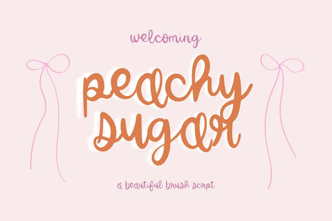 Dainty Romance Script Font Bundle Font Blush Font Co. 