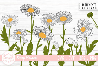 Daisy Flower Illustration Bundle | Daisy Flower Clipart SVG dapiyupi store 