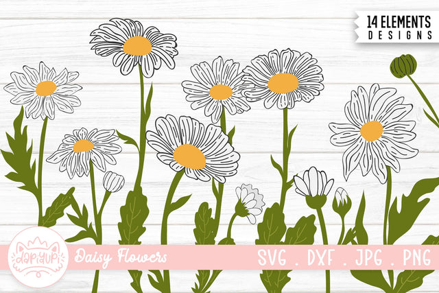 Daisy Flower Illustration Bundle | Daisy Flower Clipart SVG dapiyupi store 